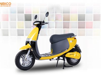 xe đạp điện sử dụng pin hay ắc quy tốt hơn